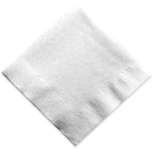 White Cloth Napkin 